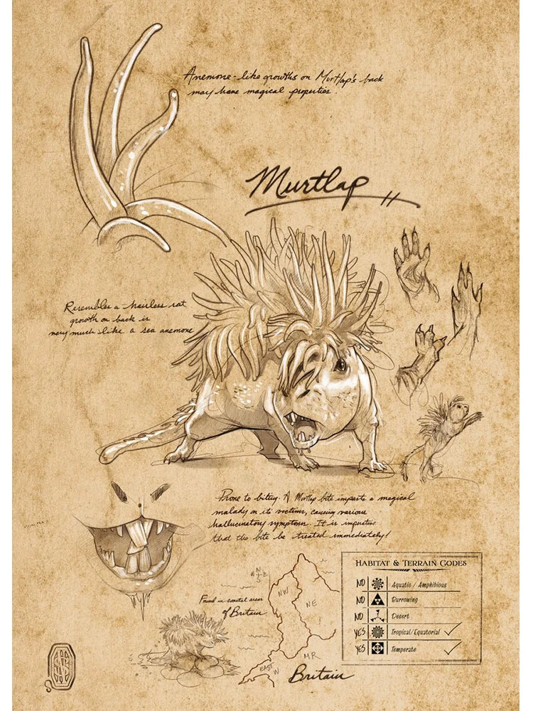 Vintage Field Notes The Myth Monster 80s Retro Poster Canvas Painting Magic Wizarding Niffler Note Wall Art For Room Home Dec Peaceful Pleasures Health and Wellness K 20x30cm