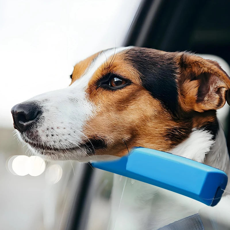 Dog Car Window Chin Rest Foam Cushion 25cm – Blue