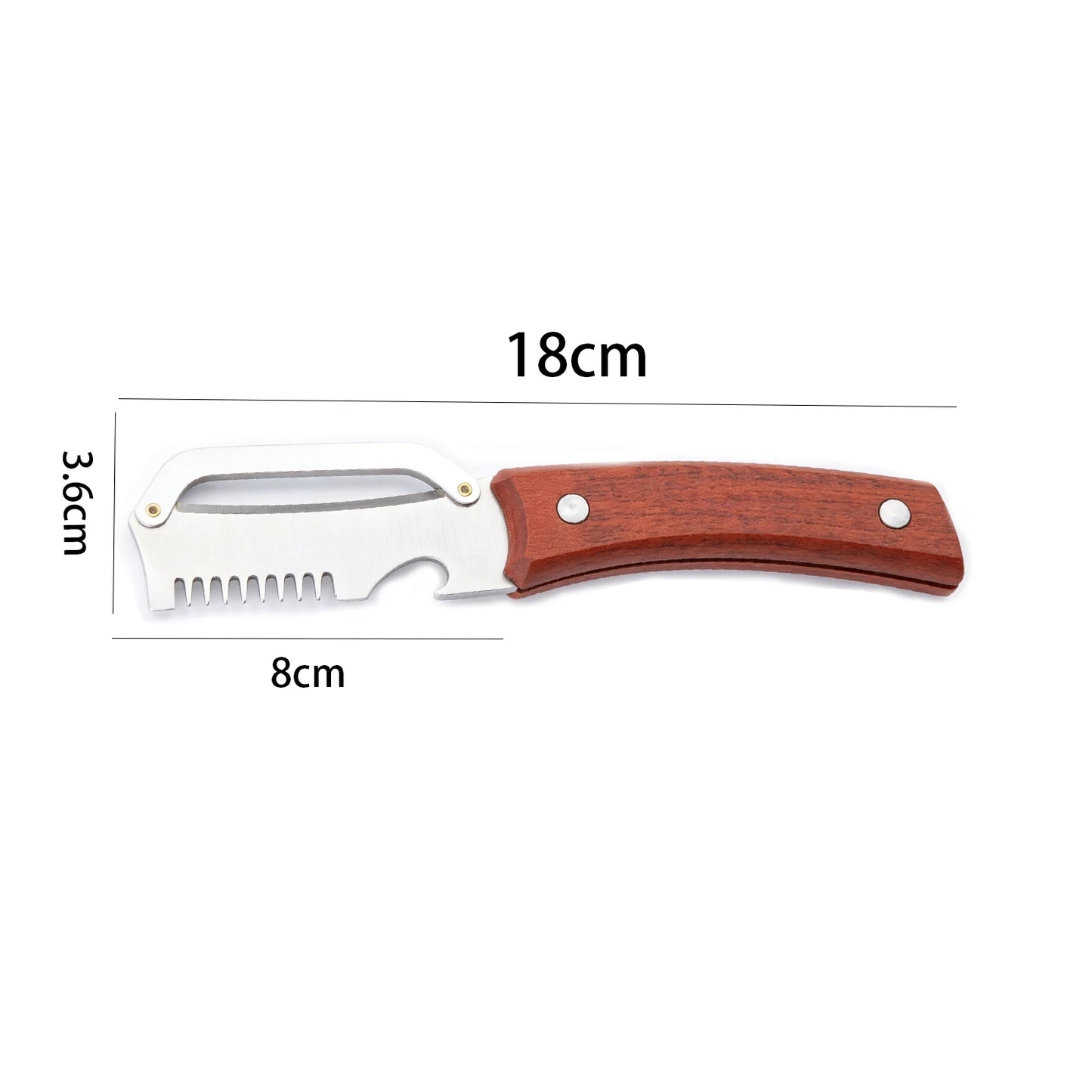 2-in-1 Stainless Steel Peeler & Bottle Opener | Kitchen Tool