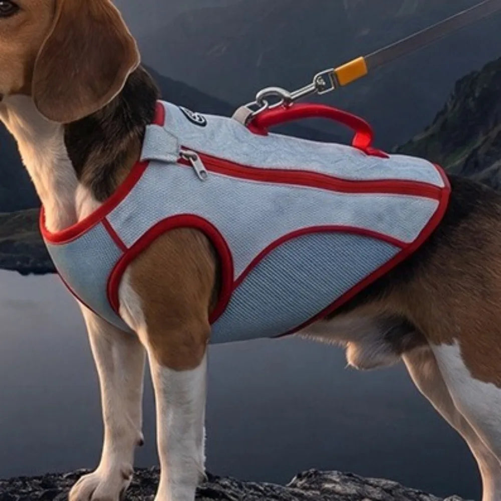 Breathable Dog Cooling Vest | UV Protection Jacket XS–3XL