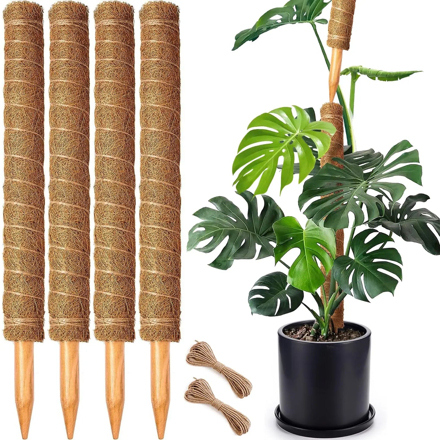 Stackable Moss Poles for Monstera & Climbing Plants (4/8 Pack)