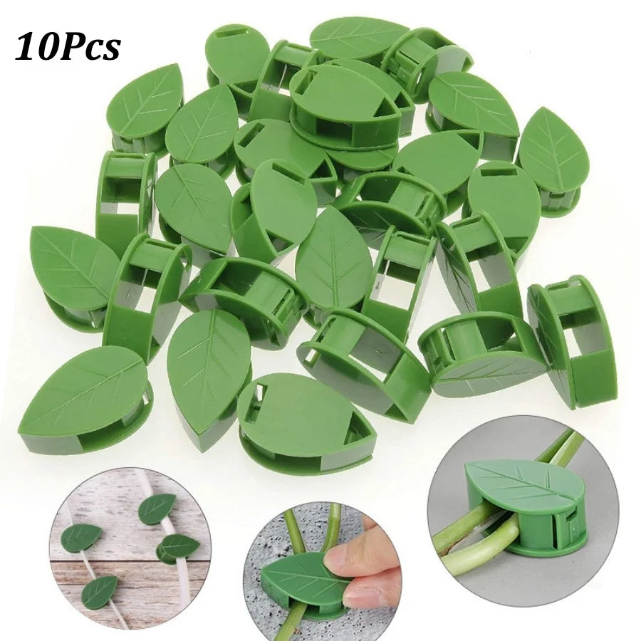 Self-Adhesive Plant Climbing Wall Clips – Leaf-Shaped Fixtures Plant Wall Clips Peaceful Pleasures Health and Wellness 10Pcs