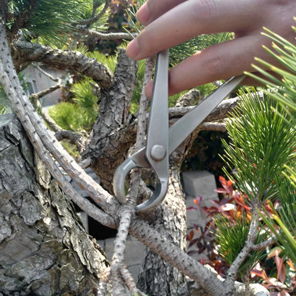 Garden Scissors Stainless Steel Knob Cutter Ball Shear Landscape