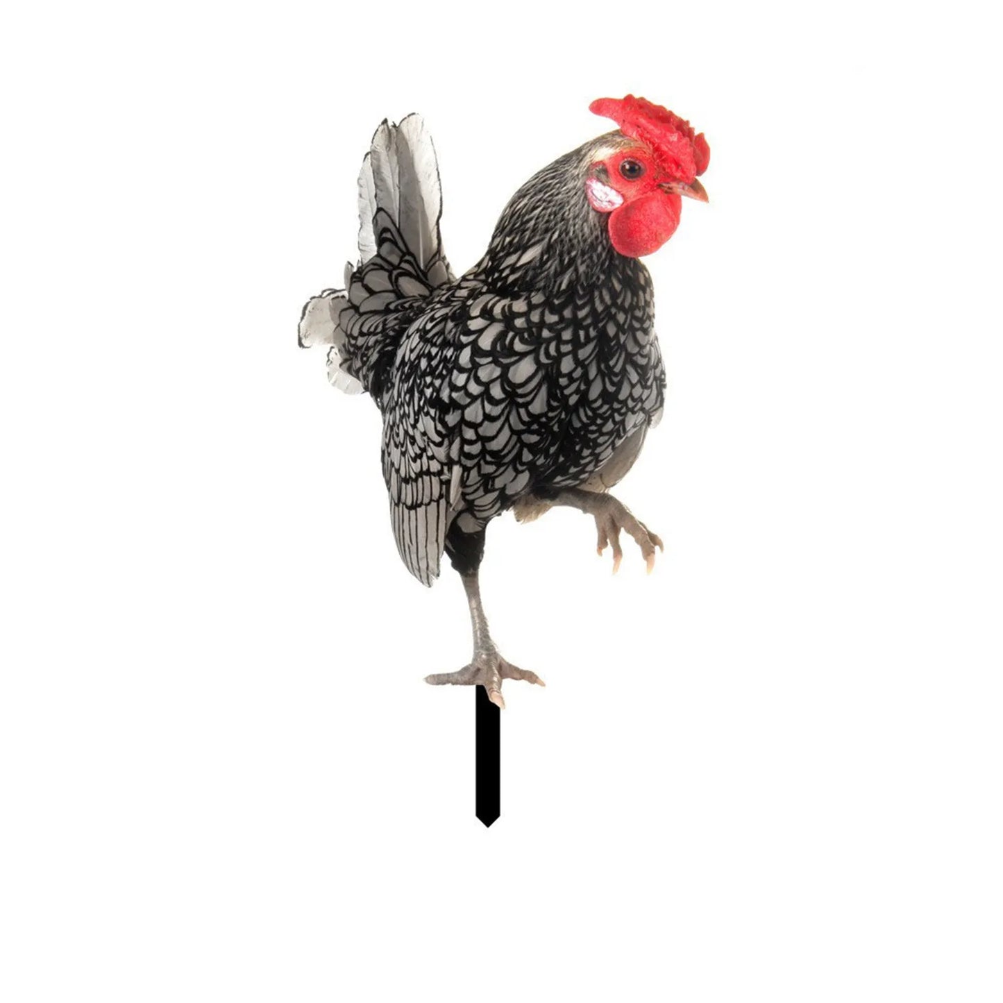 2D Acrylic Chicken Rooster Garden Stake Yard Art Ornament