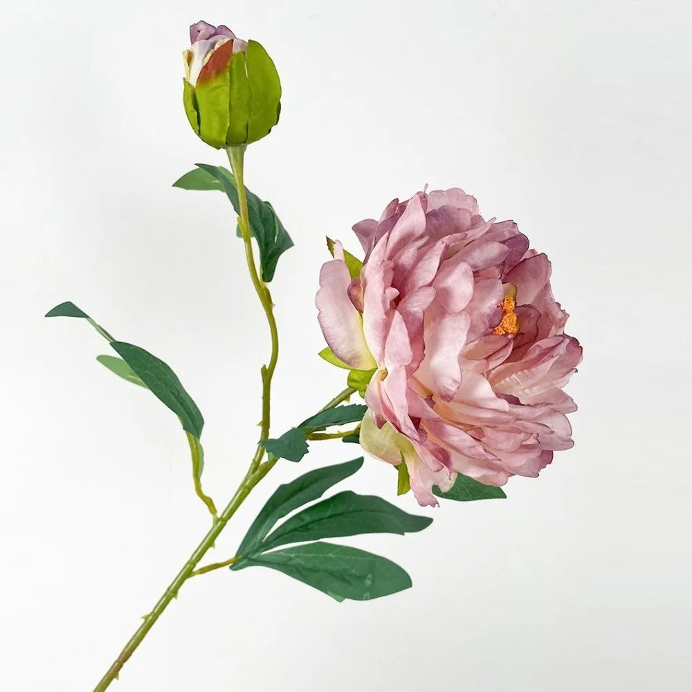 Silk Peony Artificial Flower Branch 68cm | 2 Heads Real Touch