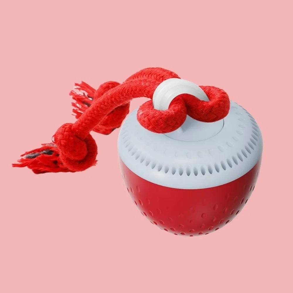 Smart Auto-Rolling Dog Toy Ball | USB Rechargeable, 3 Modes