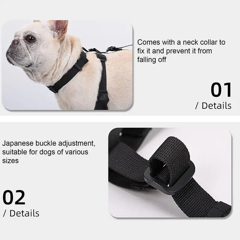 Waterproof Dog Boots | Anti-Slip Paw Protector Small & Medium Dogs