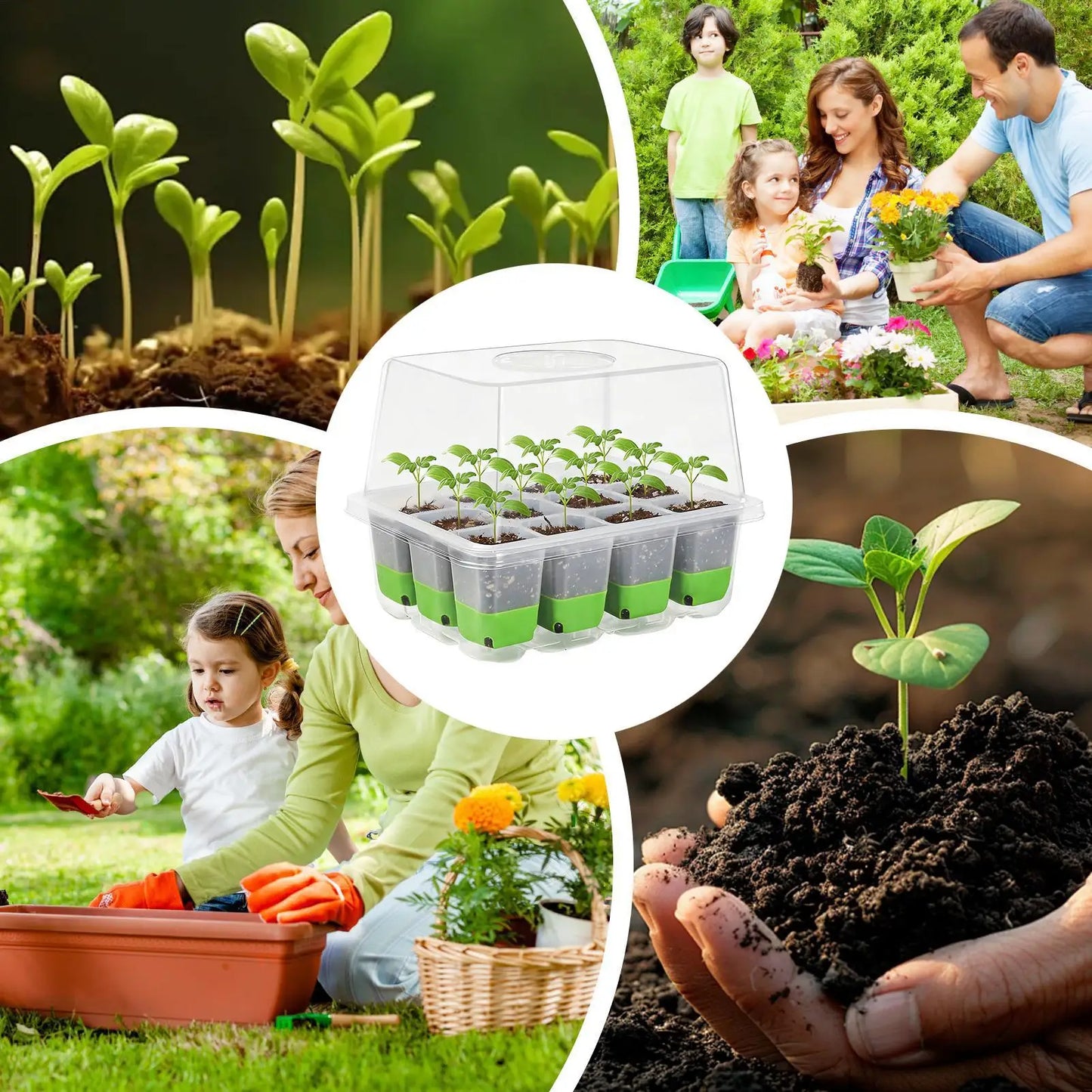 12-Cell Seedling Starter Tray with Humidity Cover | Germination