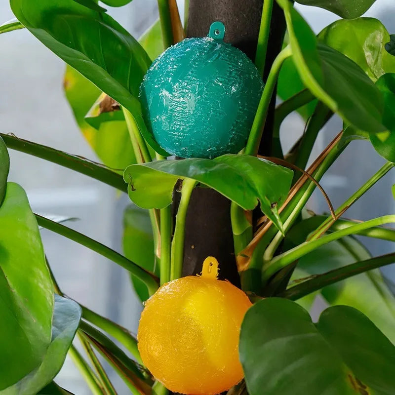 Waterproof Dual Color Fly Catching Ball Visual Attraction Design Durable Adhesive Orb Trap Wandering Winged Pests Practical Farm Peaceful Pleasures Health and Wellness 5pcs random colors