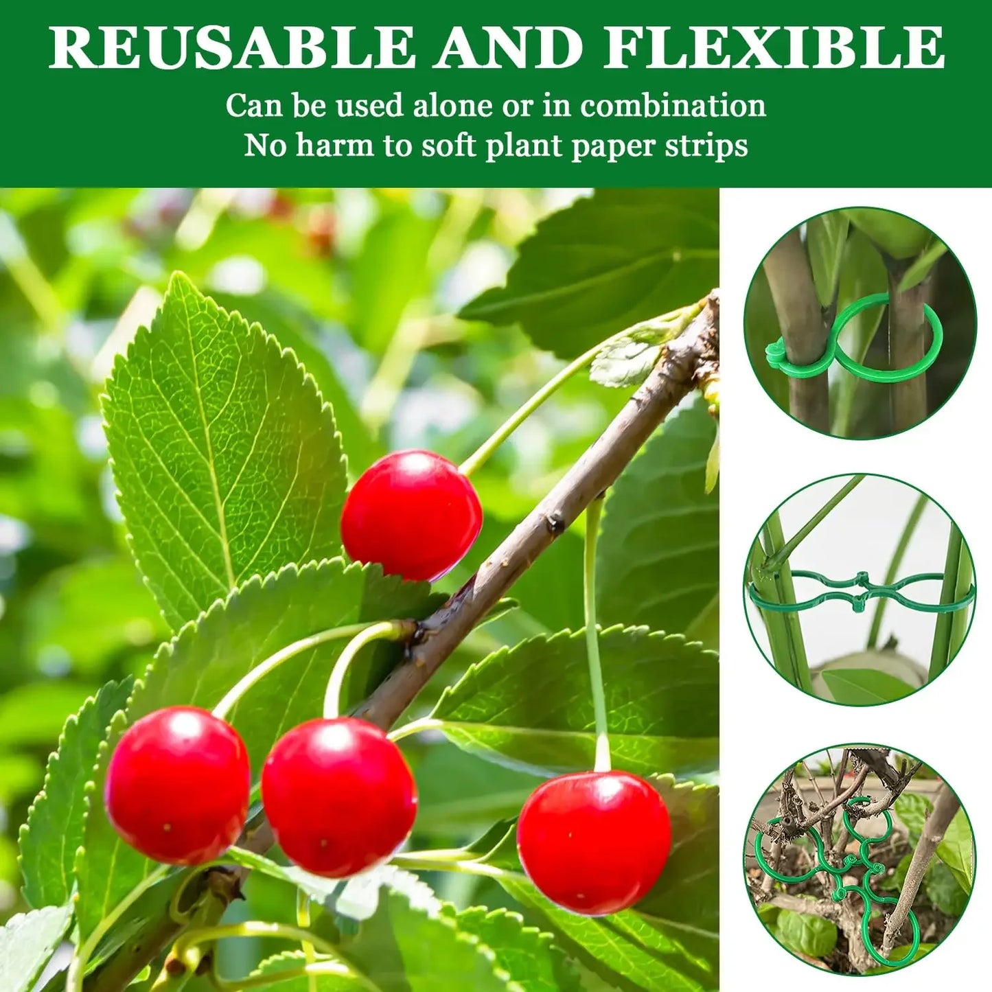50Pcs 8 Word Buckle Vine Tying Clips Ring Fixing Bracket Garden Plant Holder Tools Garden Decorations Plant Climbing Wall Clips Peaceful Pleasures Health and Wellness