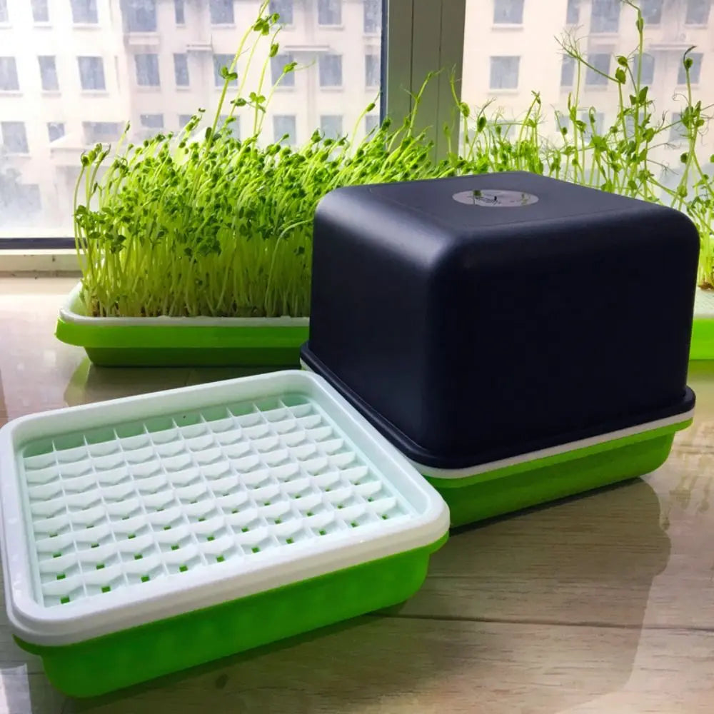 Hydroponic Sprouting Tray – Soilless Seed Germination Kit