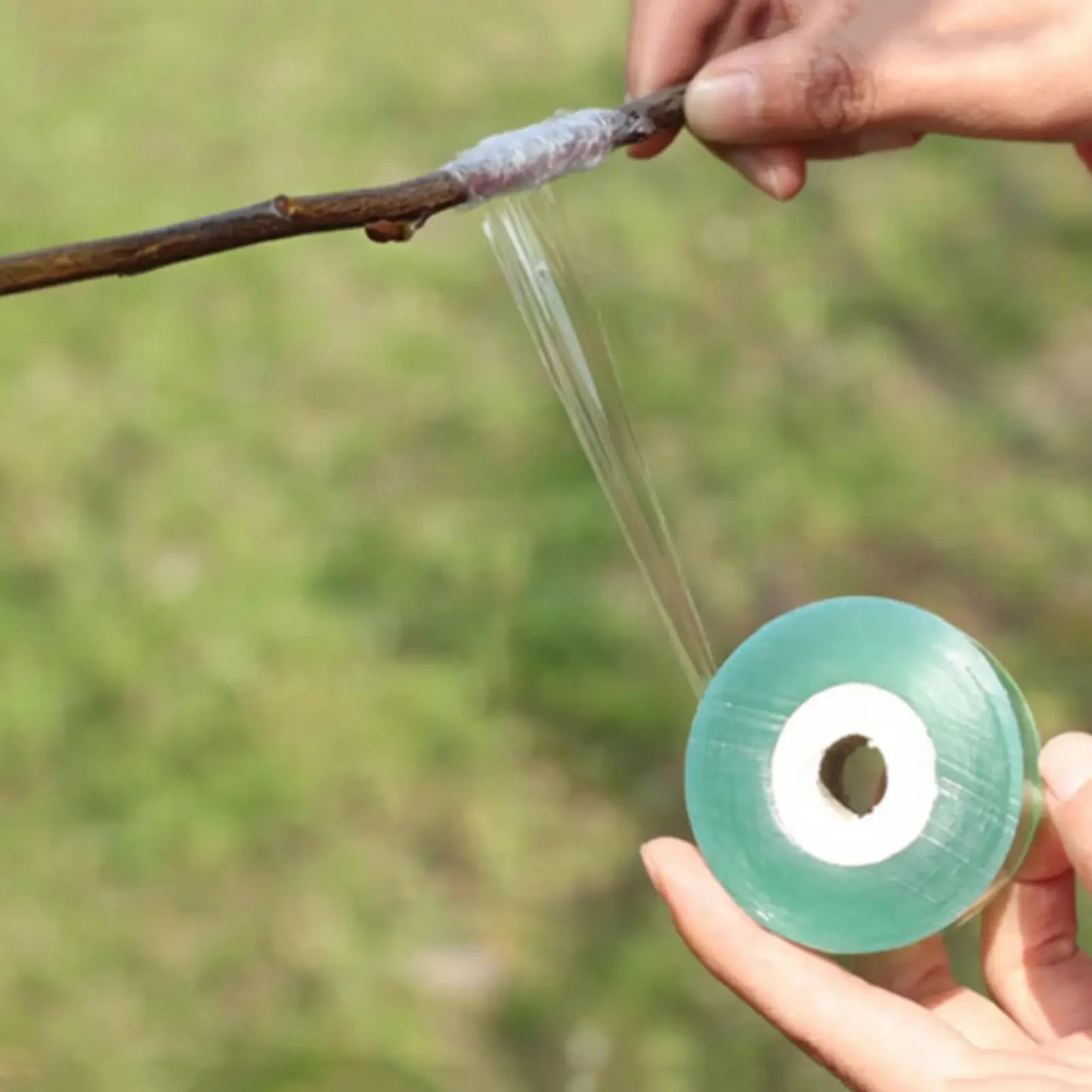 Self-adhesive PE Grafting Tape Film Stretchable Garden Tree Plants Seedlings Vine Tomato Grafting Accessories Peaceful Pleasures Health and Wellness