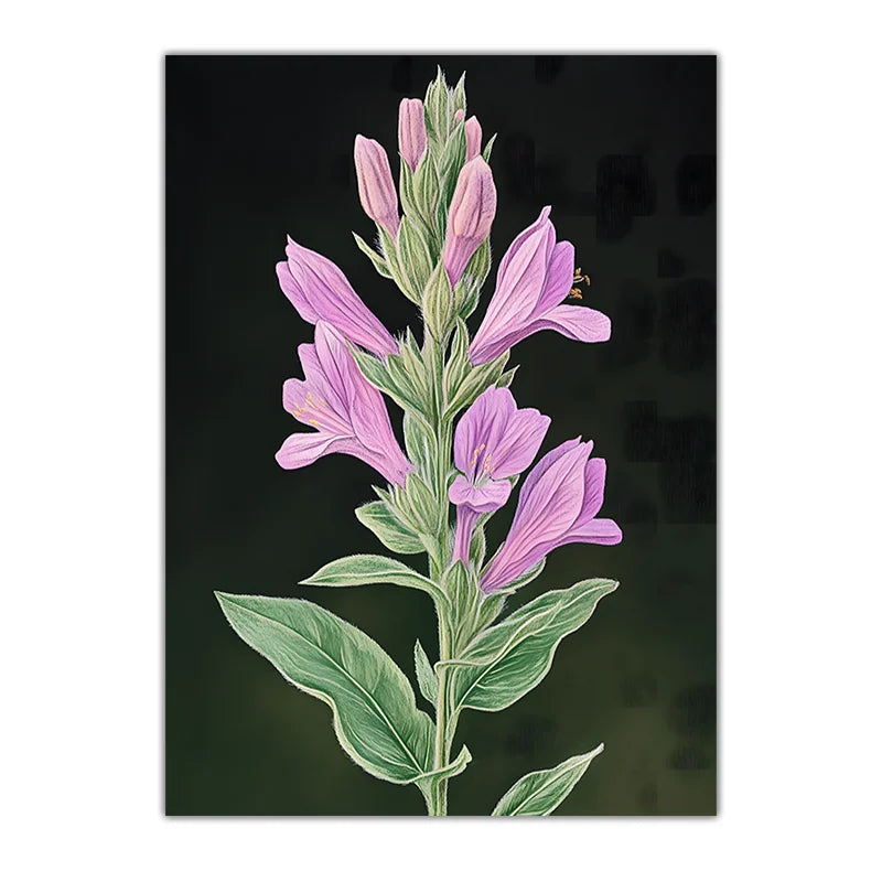 Vintage Botanical Floral Canvas Wall Art | Flower Poster Print Floral Canvas Wall Art Peaceful Pleasures Health and Wellness 02 40x60cm No Frame China Mainland