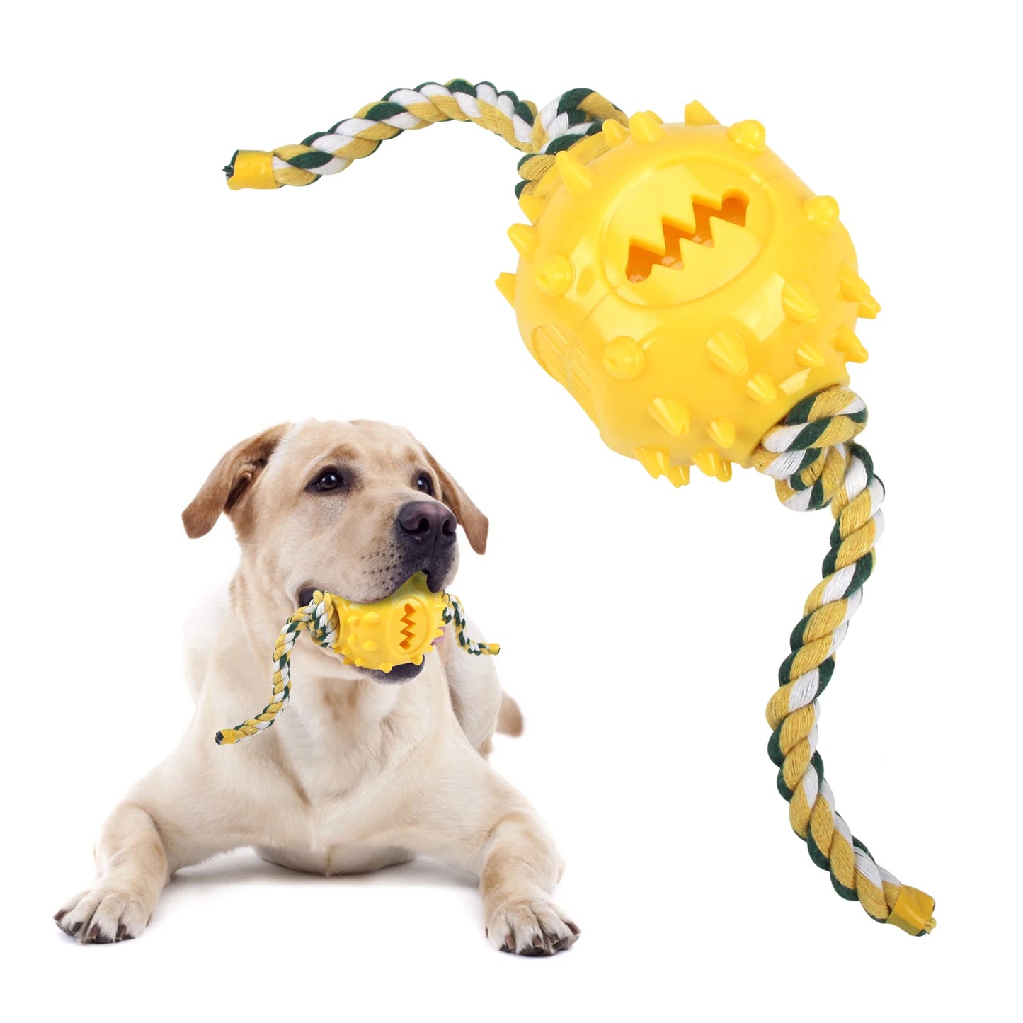 Dog Grinding Teeth Toys Chew Cleaning Anti Bite Interactive Training