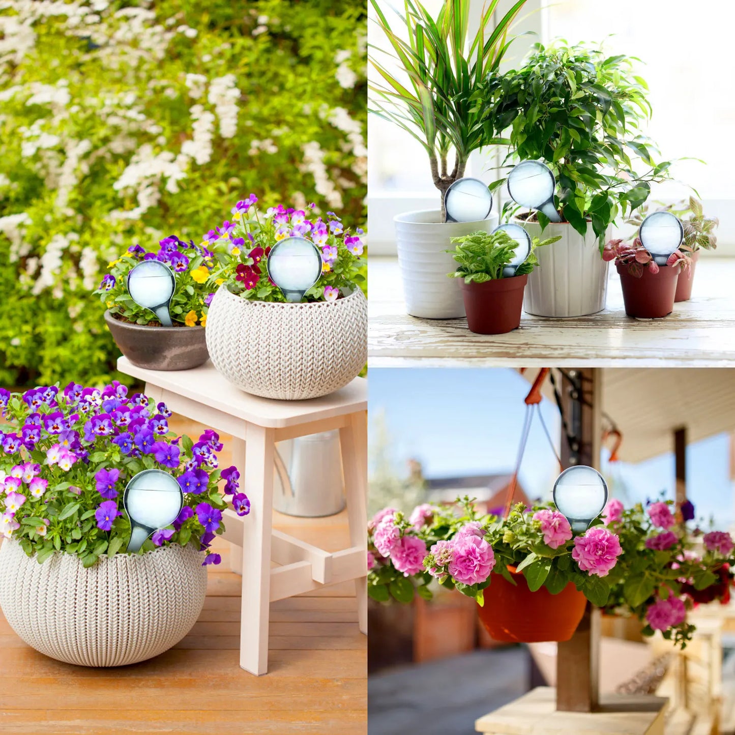 PVC Self-Watering Globe – Plant Watering Bulb for Vacation