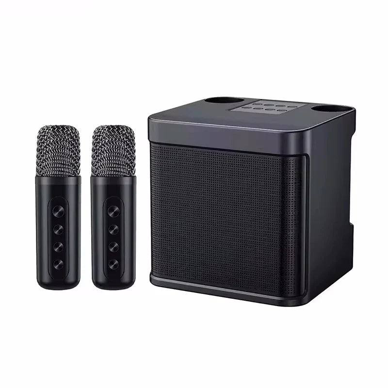 AyeBeau Portable Karaoke Bluetooth Speaker with Microphone