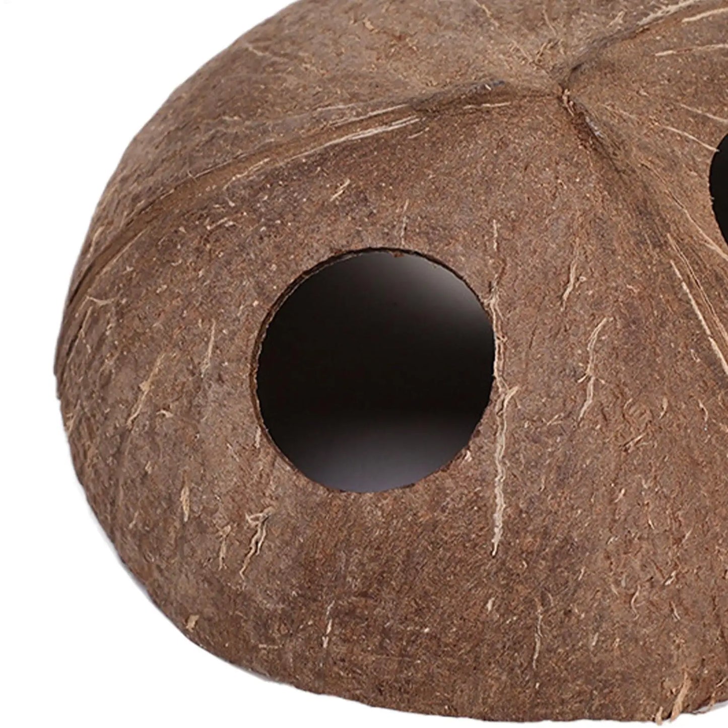 Natural Coconut Shell Reptile Hiding Cave | Terrarium Decor
