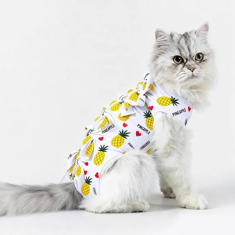 Cat Recovery Suit – Post-Op Anti-Licking Protective Clothing