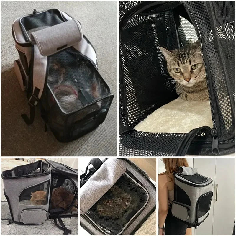 Large Expandable Pet Carrier Backpack for Cats & Dogs