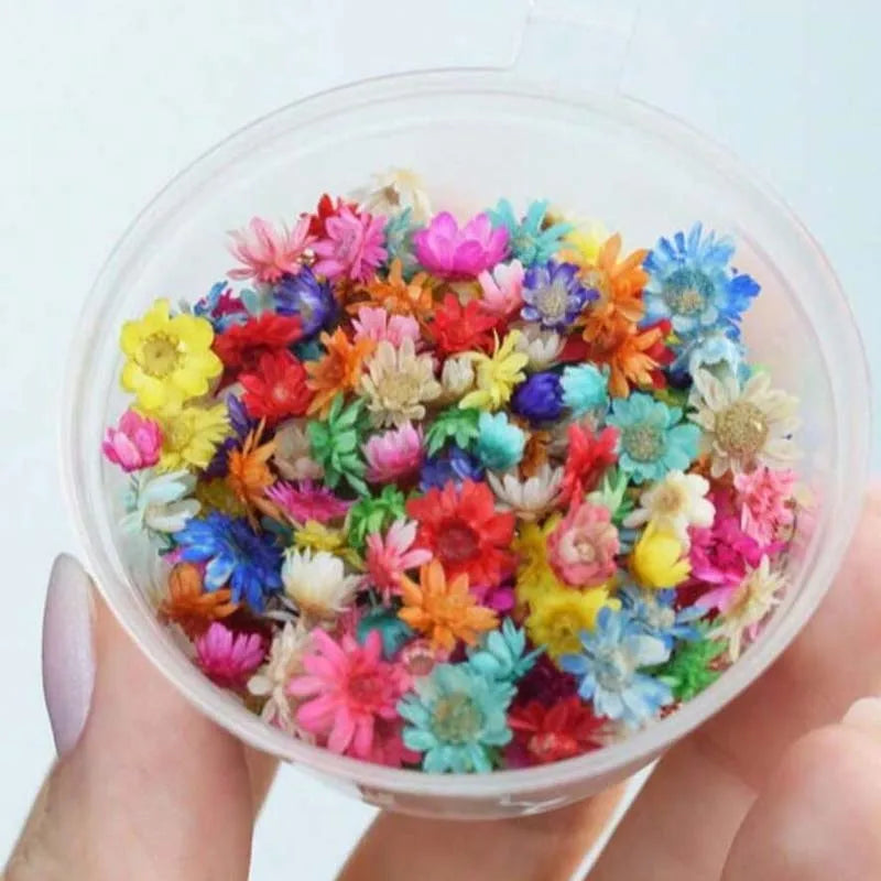Dried Flowers for Resin, Epoxy, Jewelry & Candle Making