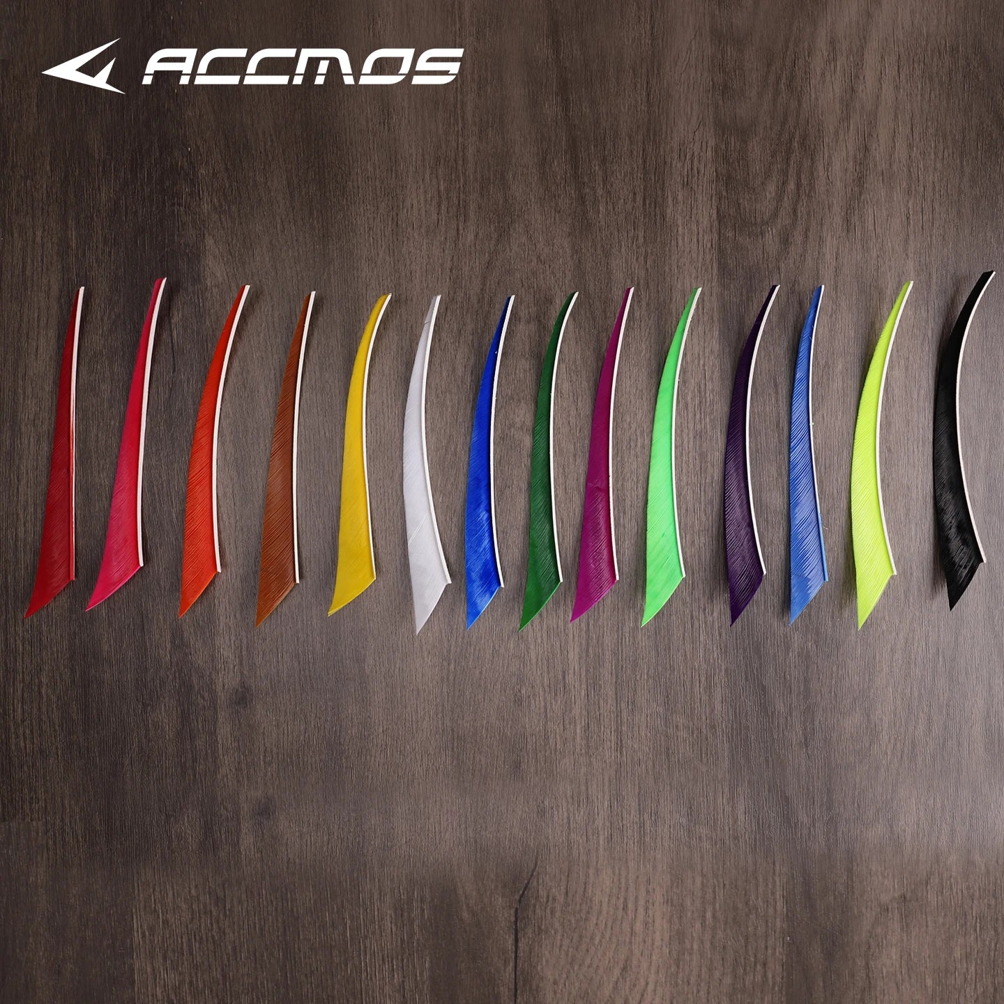 30 50 Sharp Shape Turkey Feather Nature Real True Left Wings Archery