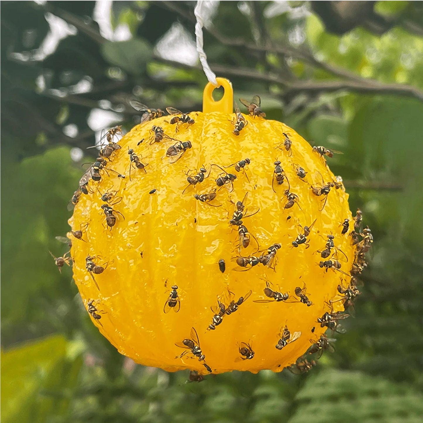 Waterproof Dual Color Fly Catching Ball Visual Attraction Design Durable Adhesive Orb Trap Wandering Winged Pests Practical Farm Peaceful Pleasures Health and Wellness Yellow