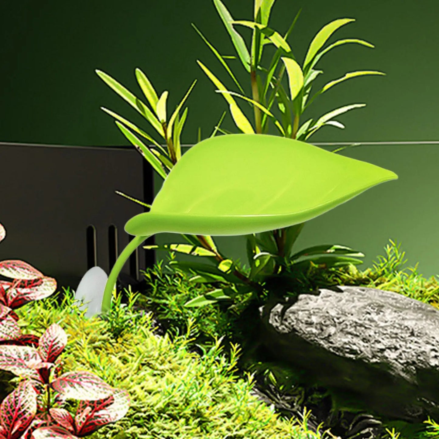 Leaf Suction Cup Basking Shelf for Frogs, Geckos & Reptiles