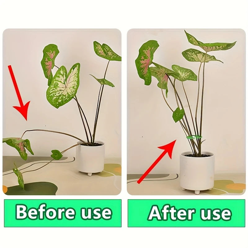 2-Pack Turtle Shell Plant Stem Support Clips for Climbing Plants Plant Support Clips Peaceful Pleasures Health and Wellness
