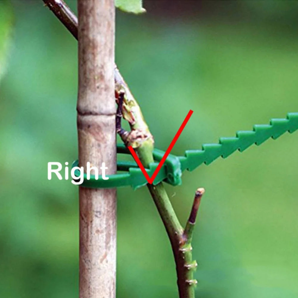 50pcs Adjustable Reusable Plant Cable Ties | Garden Stem Clips