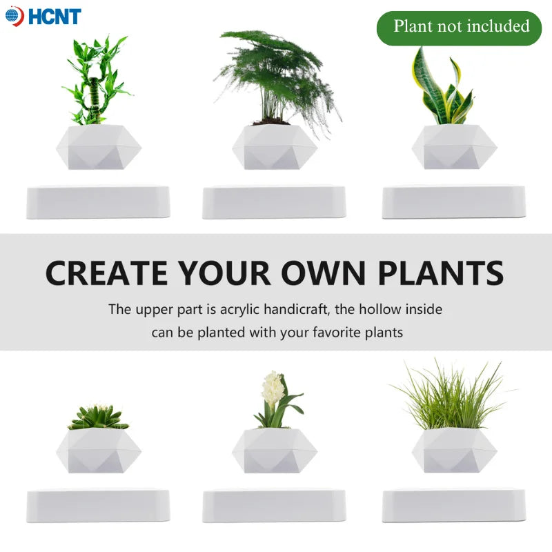HCNT Magnetic Levitating Air Bonsai Pot | Floating Plant Pot