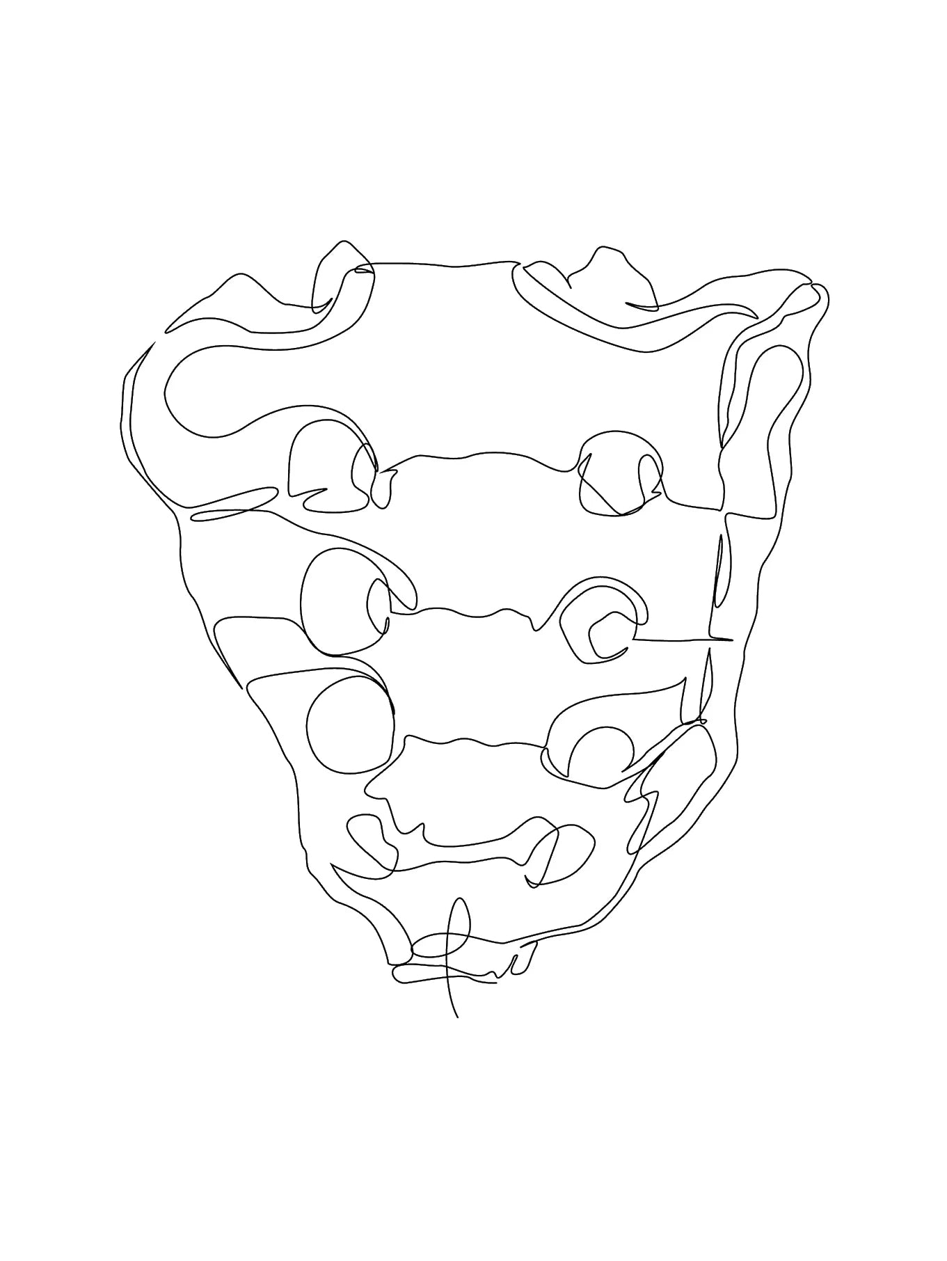 Human Anatomy Skeleton Canvas Wall Art | Medical Line Art Poster