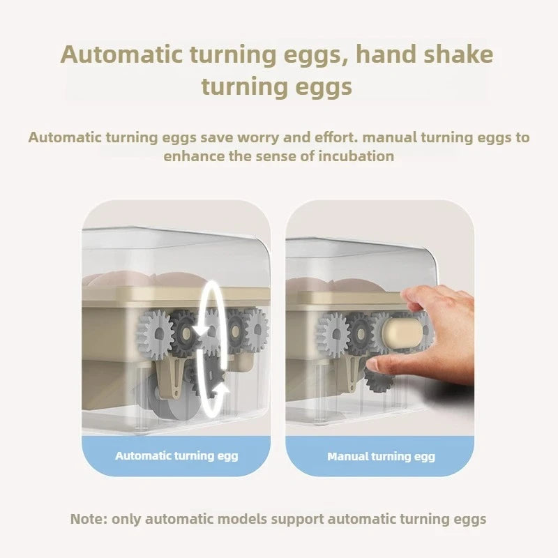 Automatic USB Powered Egg Incubator Portable Small Hatching Box for 5-6 Chicken Duck Pigeon Quail Eggs Educational Tool Peaceful Pleasures Health and Wellness