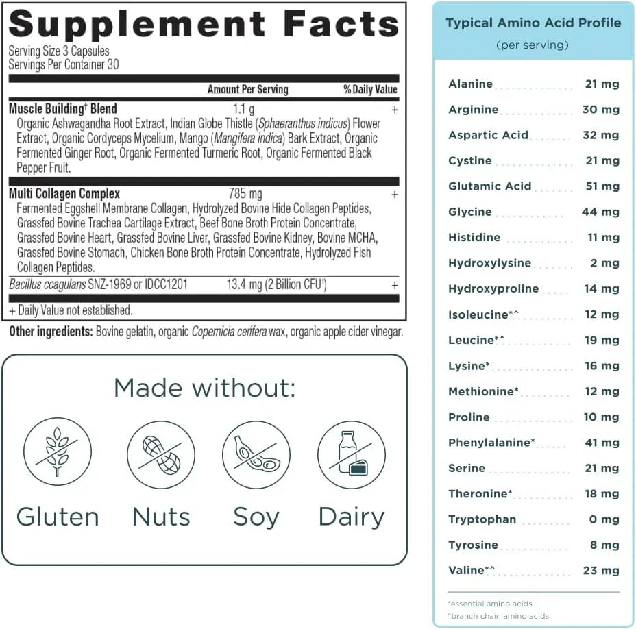 Ancient Nutrition Advanced Multi Collagen Protein Muscle Double Pack! – Muscle Recovery & Joint Support (180 Capsules Total, Unflavored) Peaceful Pleasures Health and Wellness