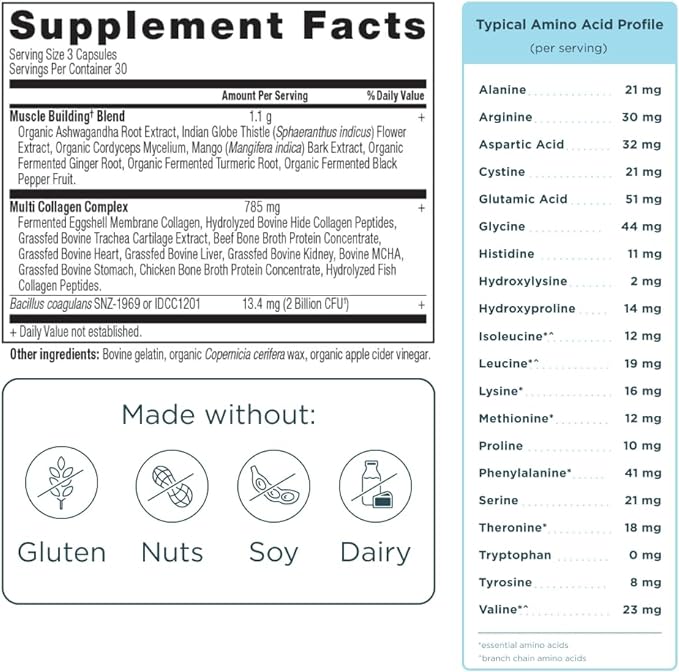 Ancient Nutrition Advanced Collagen Protein Muscle with Probiotics, Hydrolyzed Collagen Peptides Supports Healthy Body Composition* and Muscle Building*, 90 Count