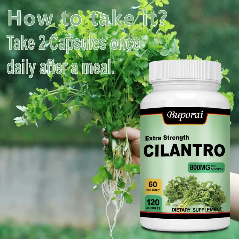 Cilantro 800mg Antioxidant Supplement | Immune Health | 120 Capsules Peaceful Pleasures