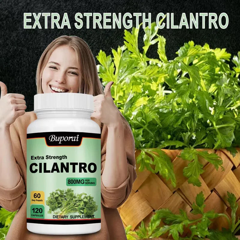 Cilantro 800mg Antioxidant Supplement | Immune Health | 120 Capsules Peaceful Pleasures