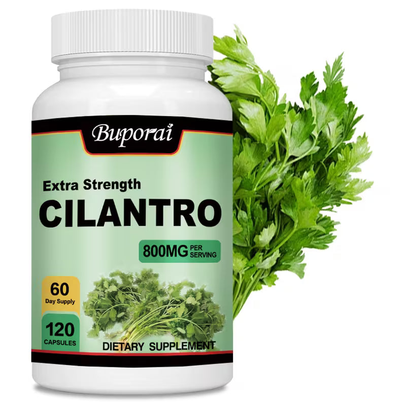 Cilantro 800mg Antioxidant Supplement | Immune Health | 120 Capsules Peaceful Pleasures