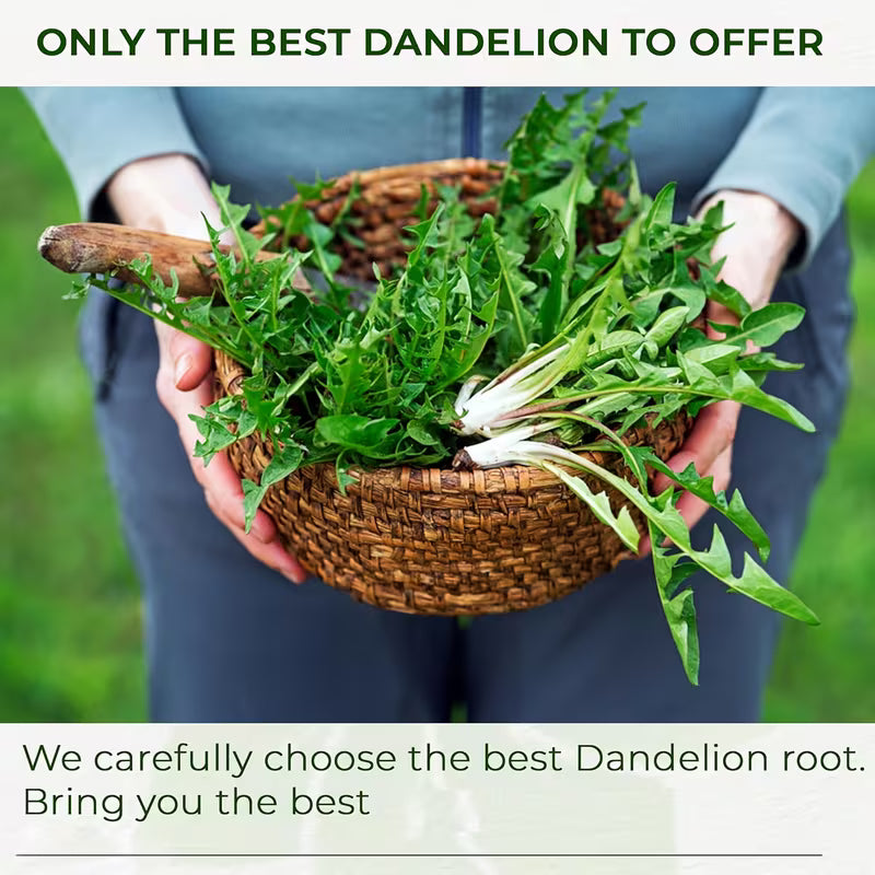 120pc Dandelion Leaf & Root Tea Bags – Caffeine Free Peaceful Pleasures