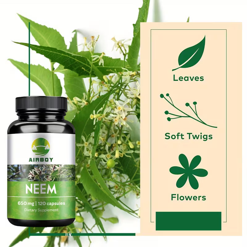 Neem supplement bottle and packaging with neem leaves, soft twigs, and flowers on a white background.