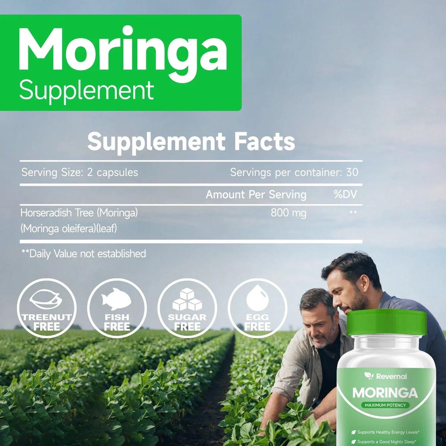 Quitmood Moringa Powder Capsules - 800mg of Pure Nutrient-Rich Moringa Powder - A Natural Green Antioxidant Superfood Peaceful Pleasures Health and Wellness