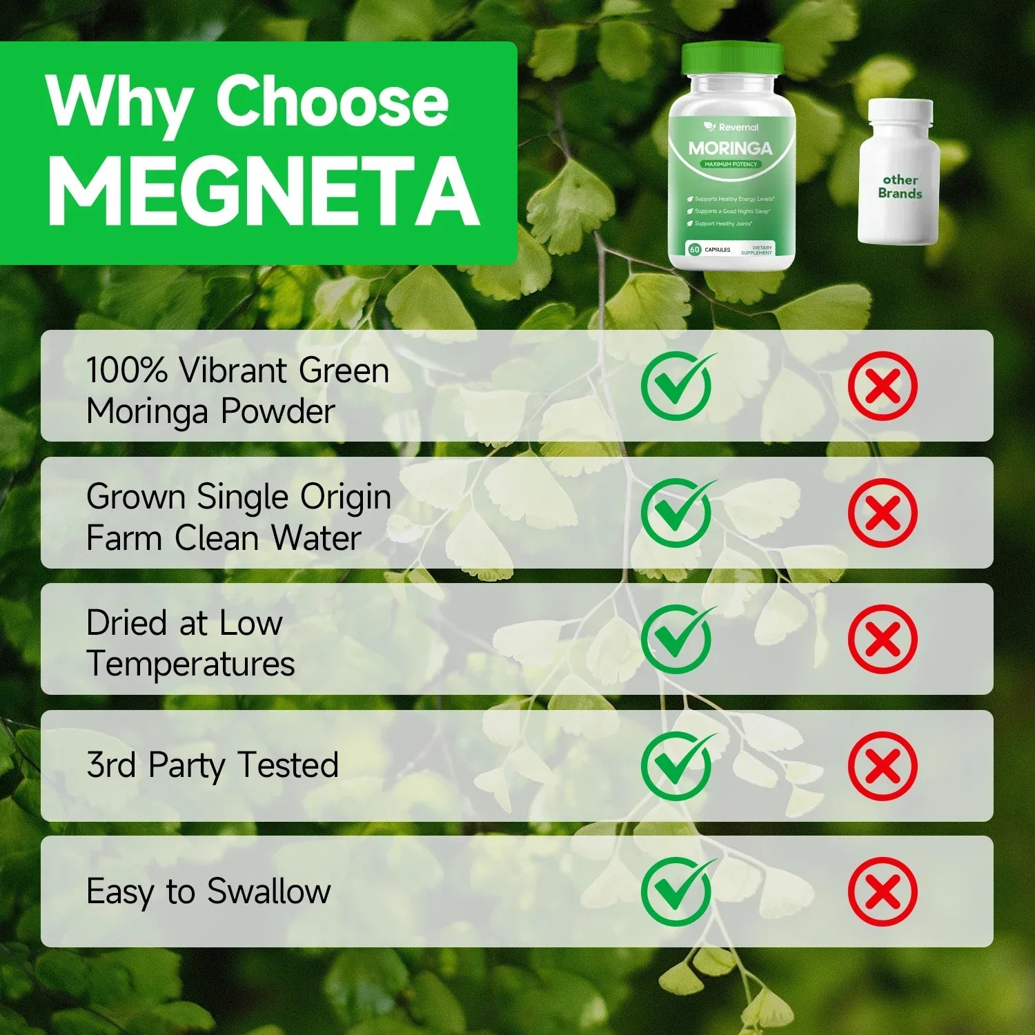 Quitmood Moringa Powder Capsules - 800mg of Pure Nutrient-Rich Moringa Powder - A Natural Green Antioxidant Superfood Peaceful Pleasures Health and Wellness