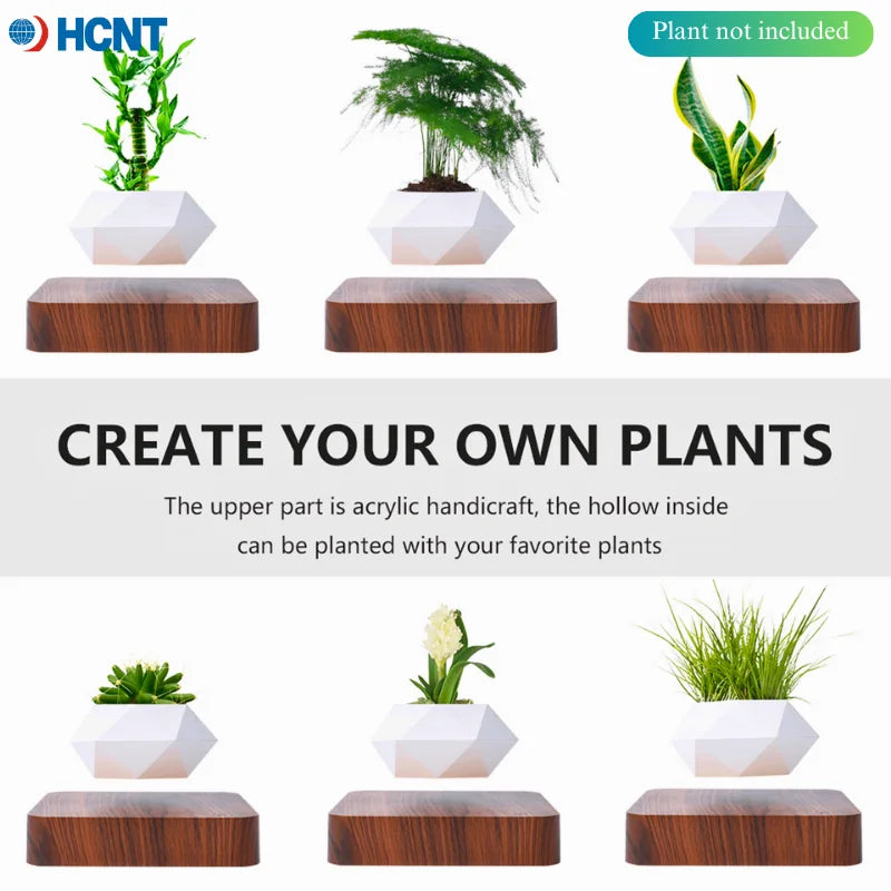 Magnetic Levitating Plant Pot | Floating Air Bonsai Decor
