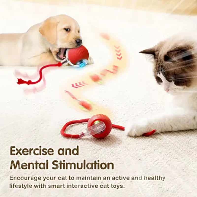 Electric Rolling Ball Cat Toy – Auto Interactive Mouse Ball