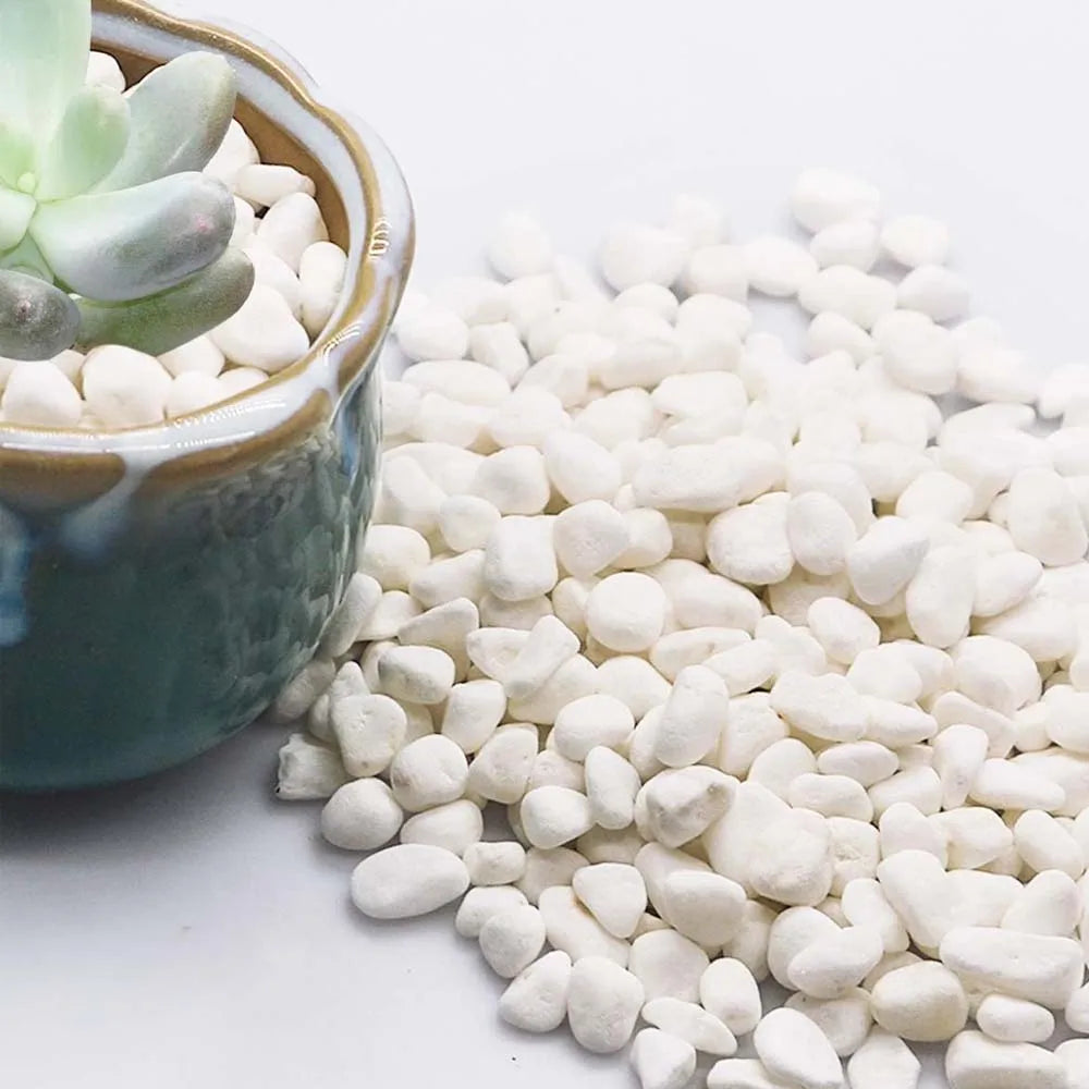 Decorative Cobblestone Pebbles – Succulents, Bonsai & Fish Tank
