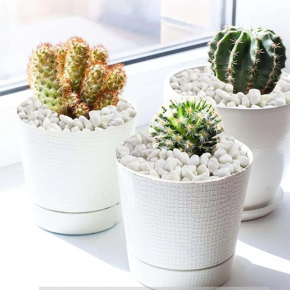 Decorative Cobblestone Pebbles – Succulents, Bonsai & Fish Tank