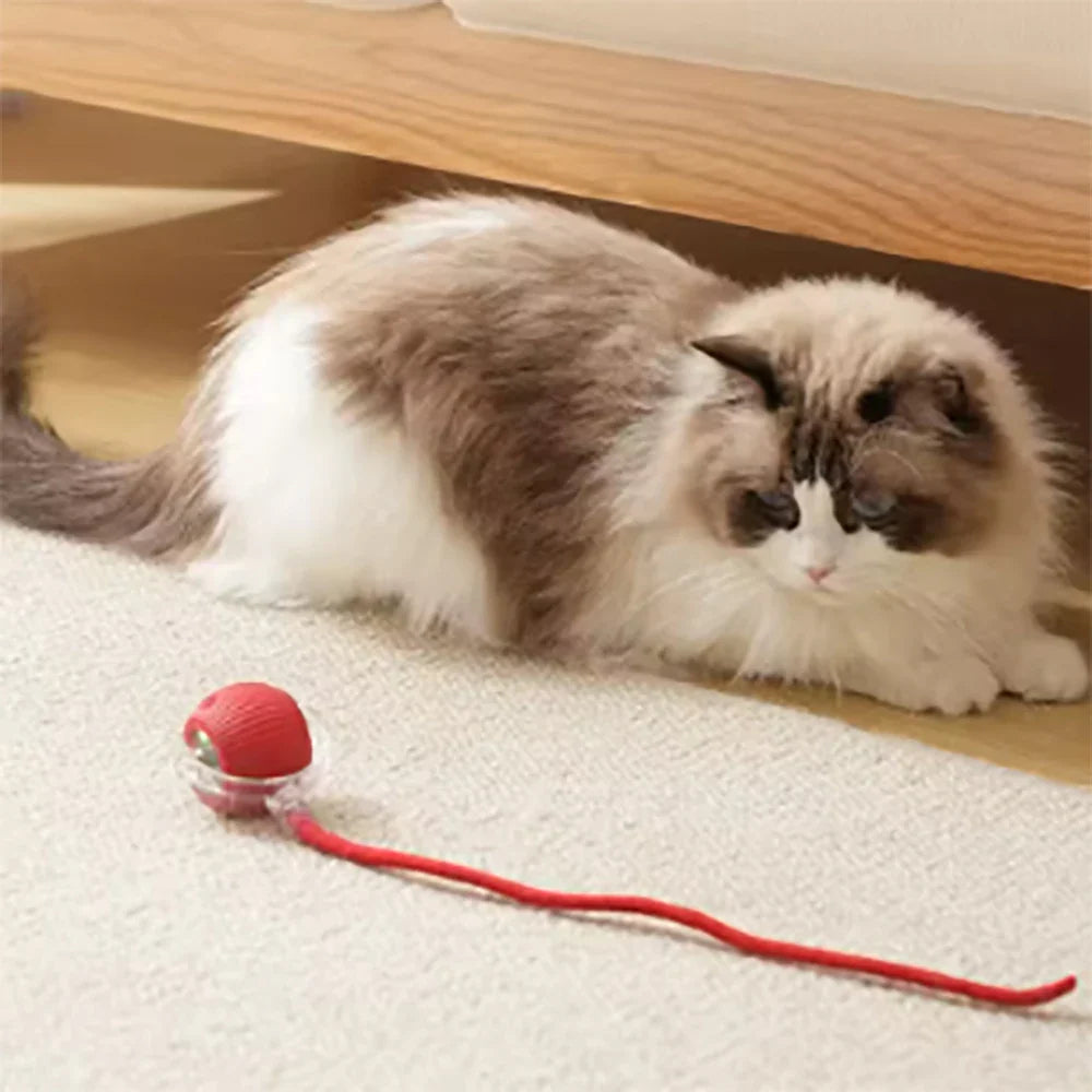Electric Rolling Ball Cat Toy – Auto Interactive Mouse Ball