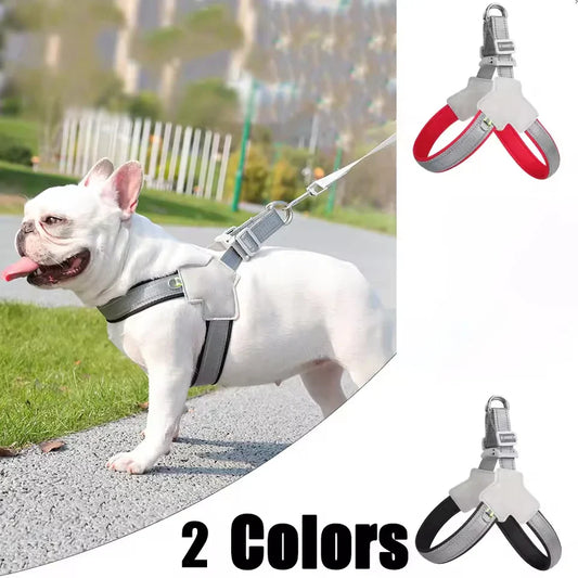 Reflective No-Pull Vest Dog Harness | Small & Medium Breeds Dog Vest Harness Oasis Select