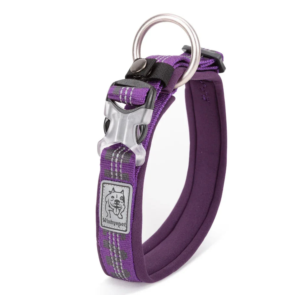 Truelove Neoprene Padded 3M Reflective Dog Collar – YC1854 Peaceful Pleasures Health and Wellness Purple XS China Mainland
