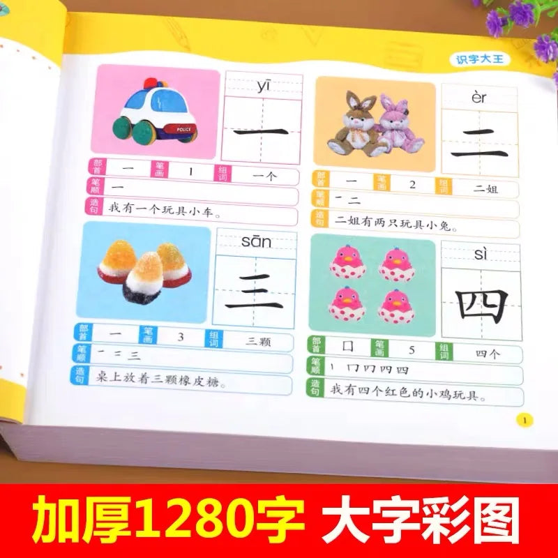 1280 Words Chinese Characters Pinyin Han Zi Picture Book Early