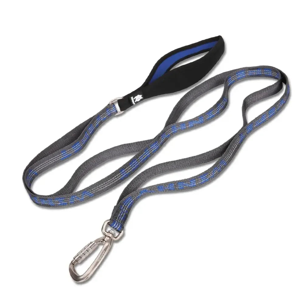 Truelove 3M Reflective Heavy-Duty Dog Leash with Carabiner YL1832 Dog Leashes Peaceful Pleasures Health and Wellness royal blue L China Mainland